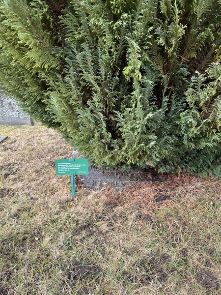 Gravnummer: HA B    47