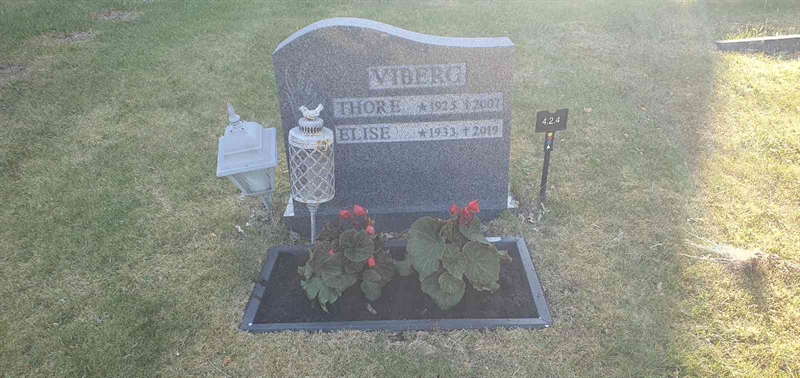 Grave number: 4 2     4