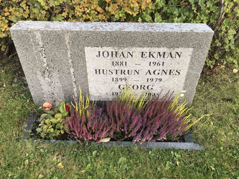 Grave number: ÅR B   333, 334