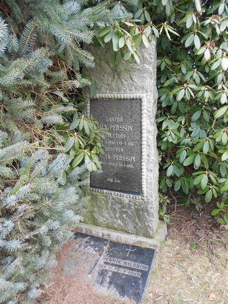 Grave number: V 4    41
