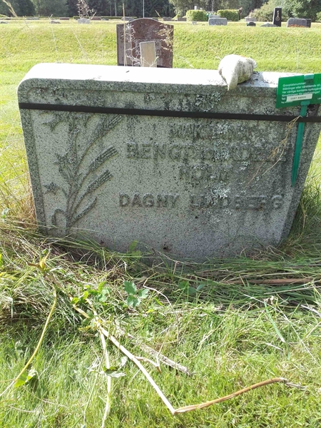 Grave number: KA 11   113