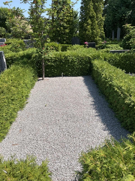 Grave number: NK VII    18