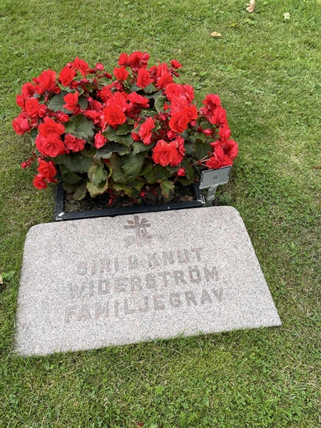 Grave number: 2    94