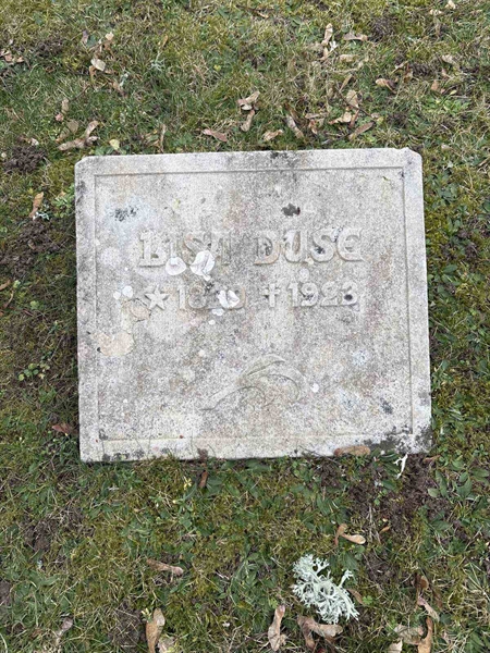 Gravnummer: LE   247