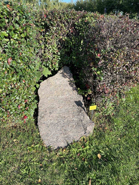 Hautatunnus: 1 P1 55