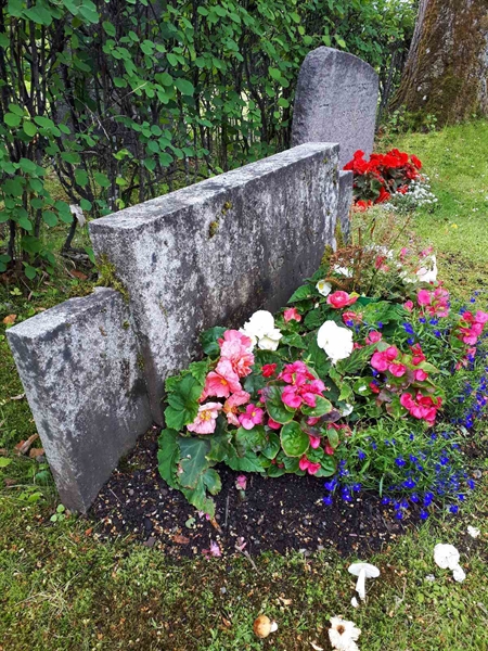 Gravnummer: GK F 5   438