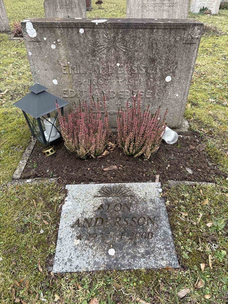 Gravnummer: LE   454, 455