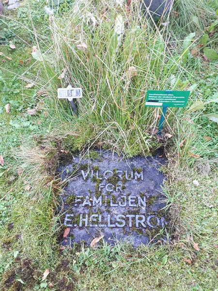 Hautatunnus: GK U 3   106