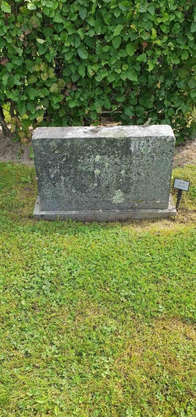 Grave number: Jä 09   110-111