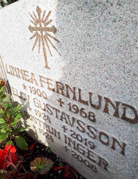 Hautatunnus: NK F B   122