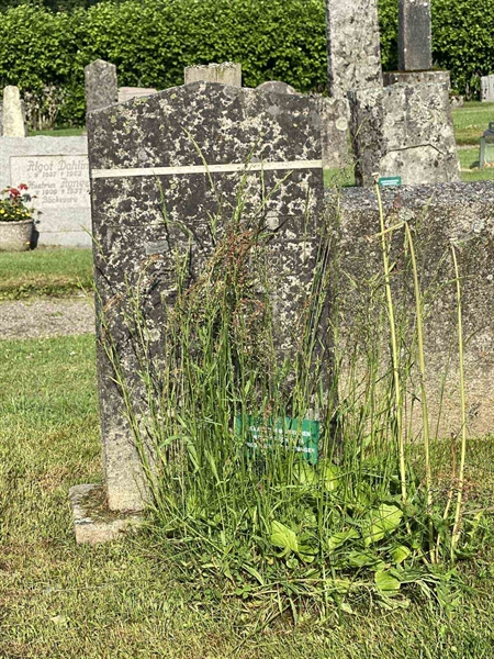 Grave number: 8 1 01    41-42