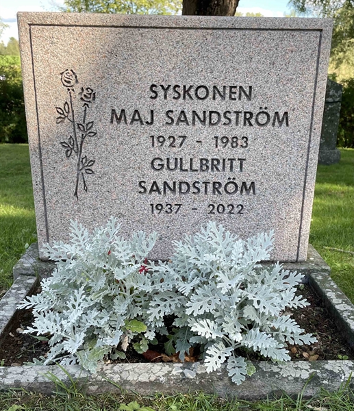 Hautatunnus: JÄ 3 75