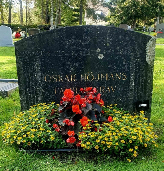 Hautatunnus: 1 X   173-174