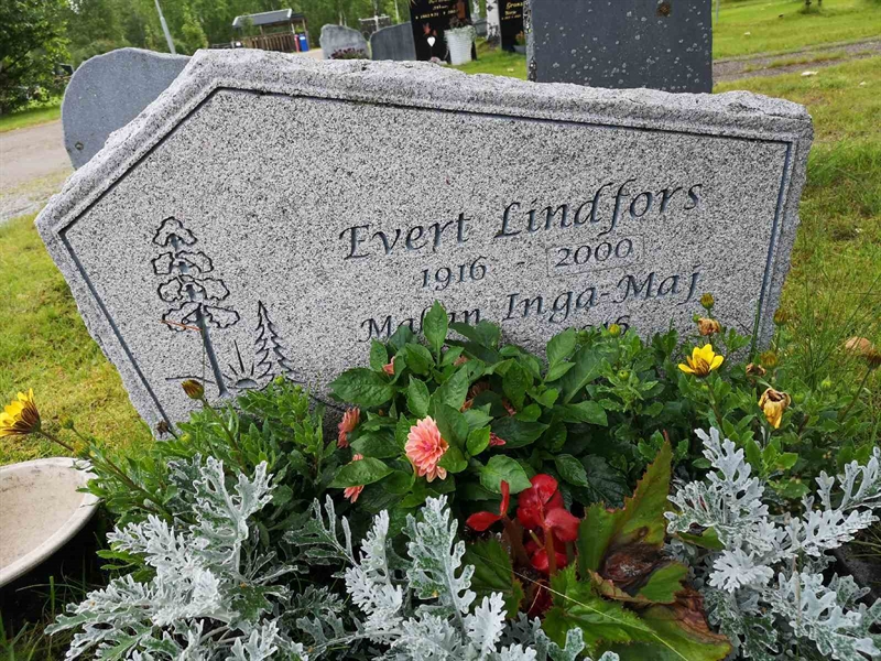 Hautatunnus: NK 17    21