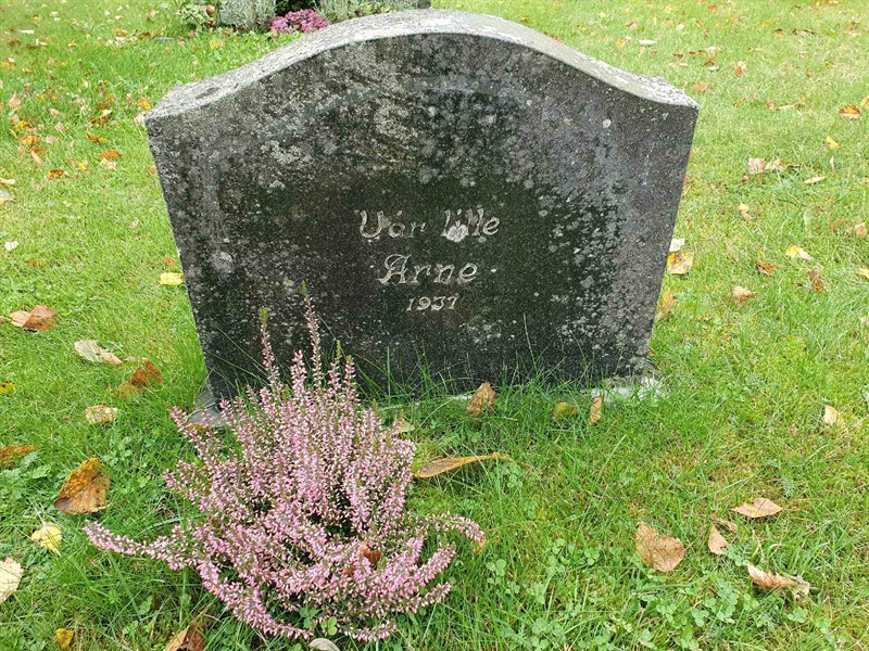 Grave number: HA GA.B    99