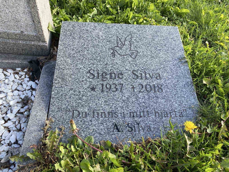 Grave number: 2 08 251