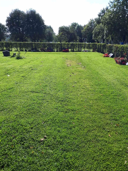 Hautatunnus: NK A A   115