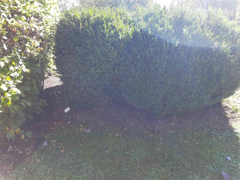 Hautatunnus: Fr 7   612-613