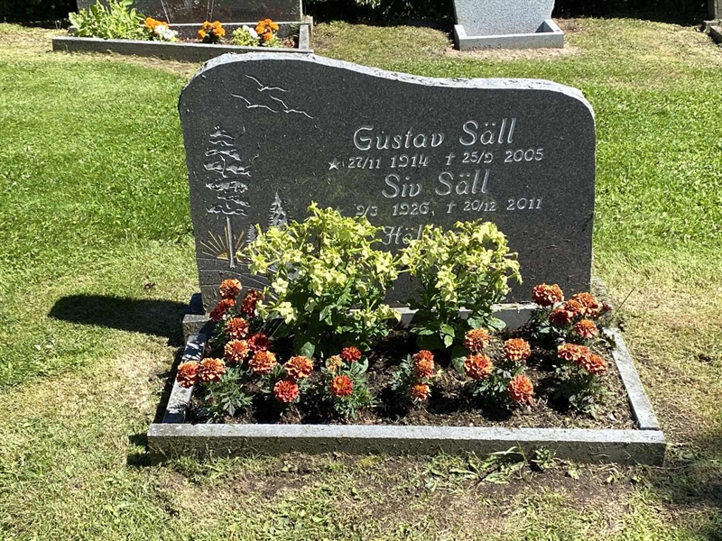 Grave number: 8 3   233-234