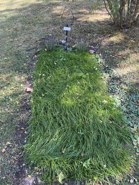 Grave number: Ö 11    17.