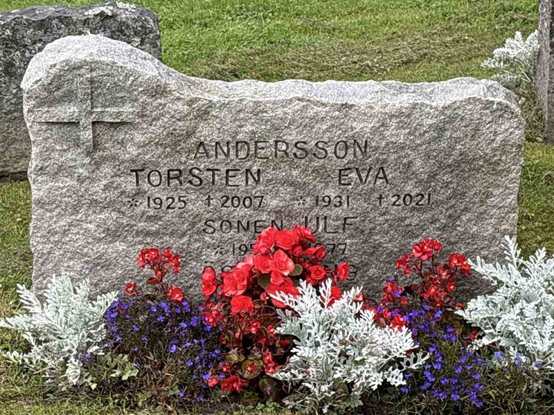 Grave number: IN 31    56-58