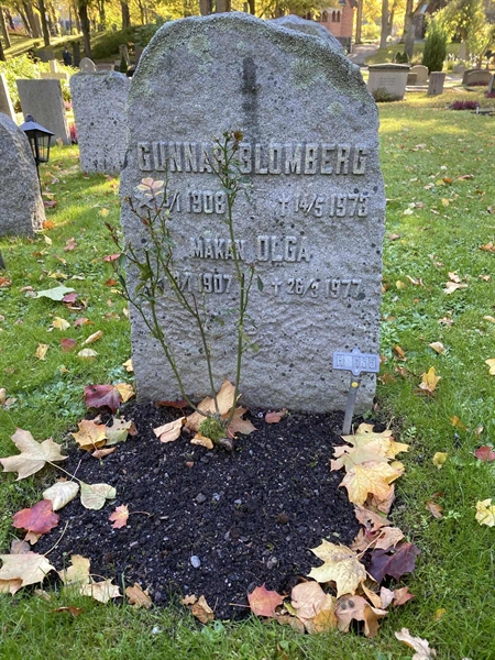 Gravnummer: 1 H   135