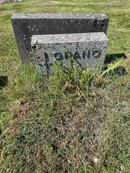 Grave number: N 5 1    91