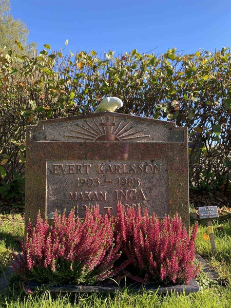 Gravnummer: 1 22      8