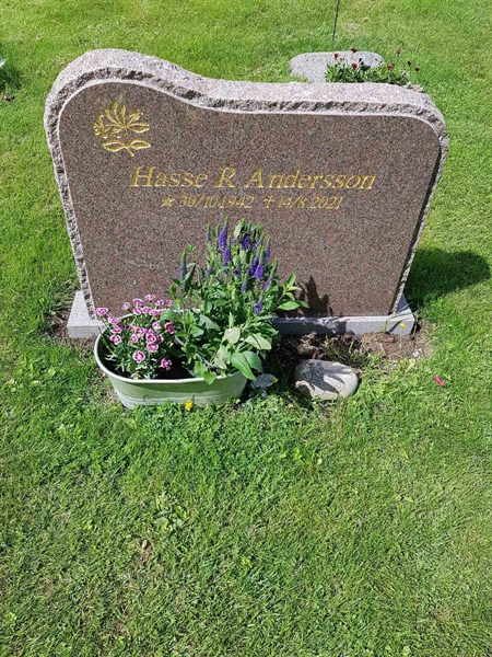 Grave number: 07 71166