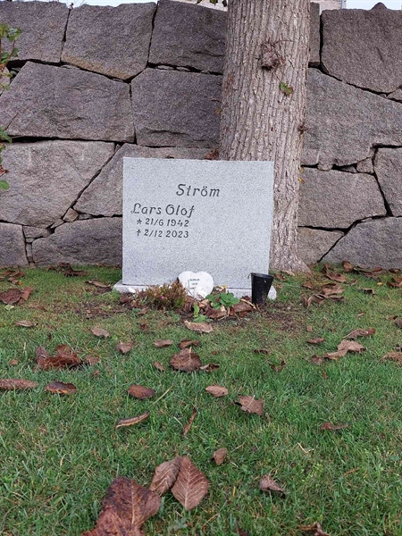 Hautatunnus: H 002  0045