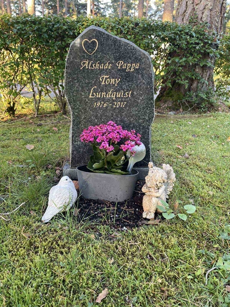 Hautatunnus: 1 KV12   256