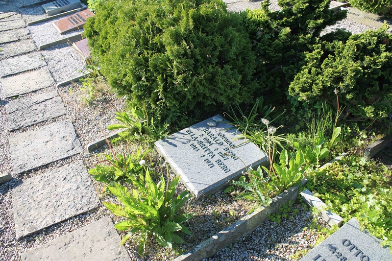 Grave number: BNB u   101