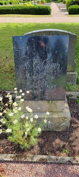 Grave number: LM 1 06  007