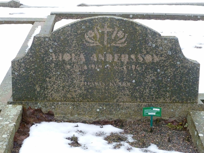 Grave number: ÖGG III   30