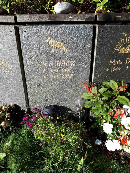 Gravnummer: GK U 4   380