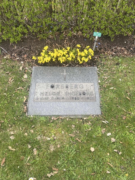 Hautatunnus: 1 3 B1 64