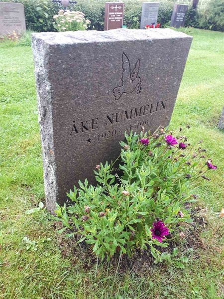 Hautatunnus: NK F D   217