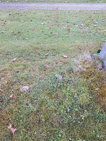 Hautatunnus: GK U 1    80