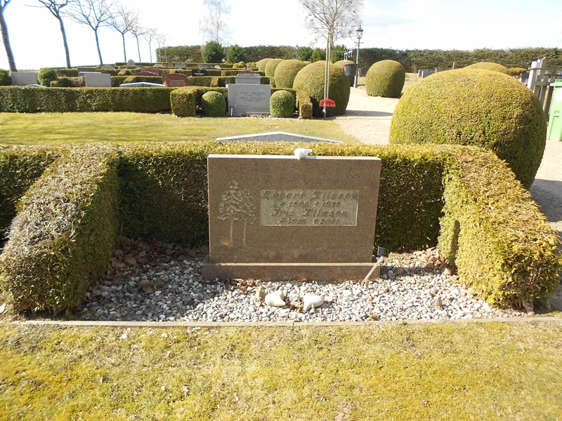 Grave number: V 36   202