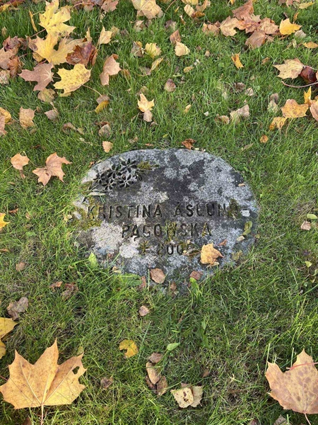 Gravnummer: 3084 J    39