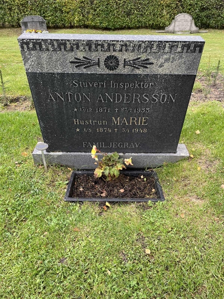 Grave number: 3 06   195