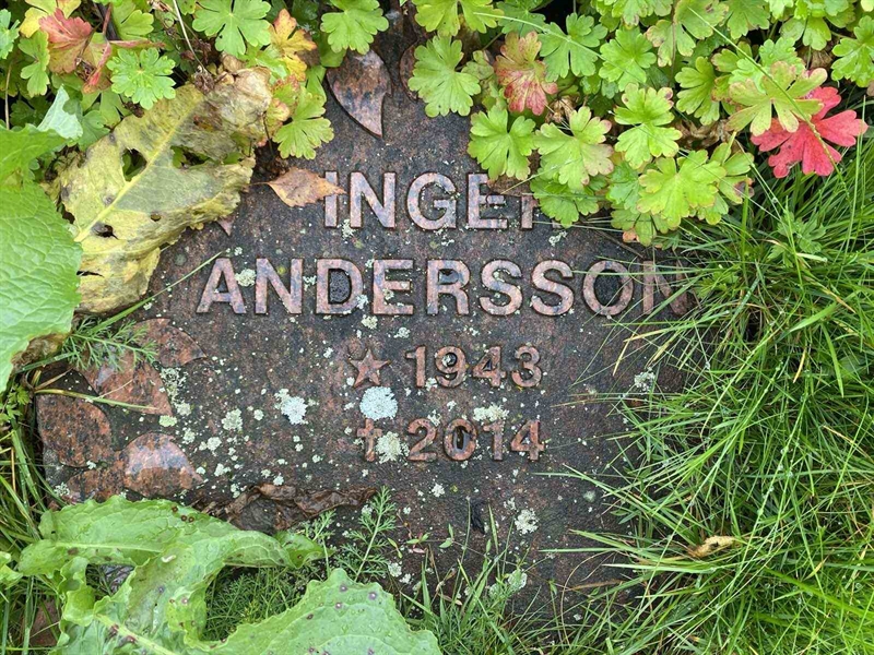 Grave number: 1 21     71, 72