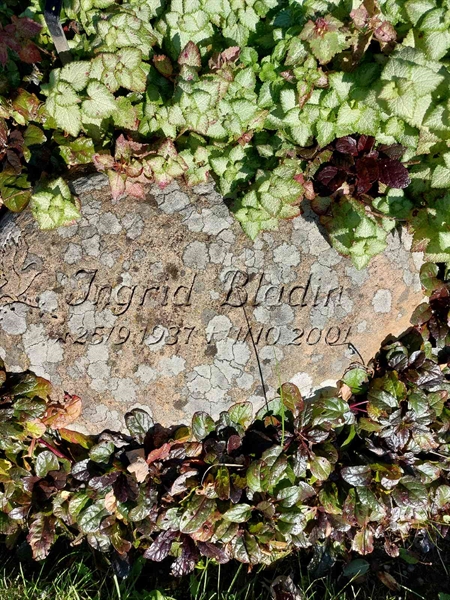 Hautatunnus: 1 L   071