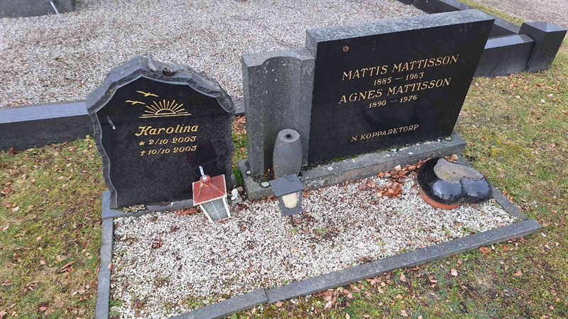 Hautatunnus: VG B    49-50