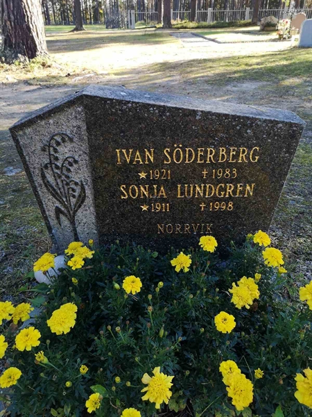 Hautatunnus: VLM 01     4:1-2