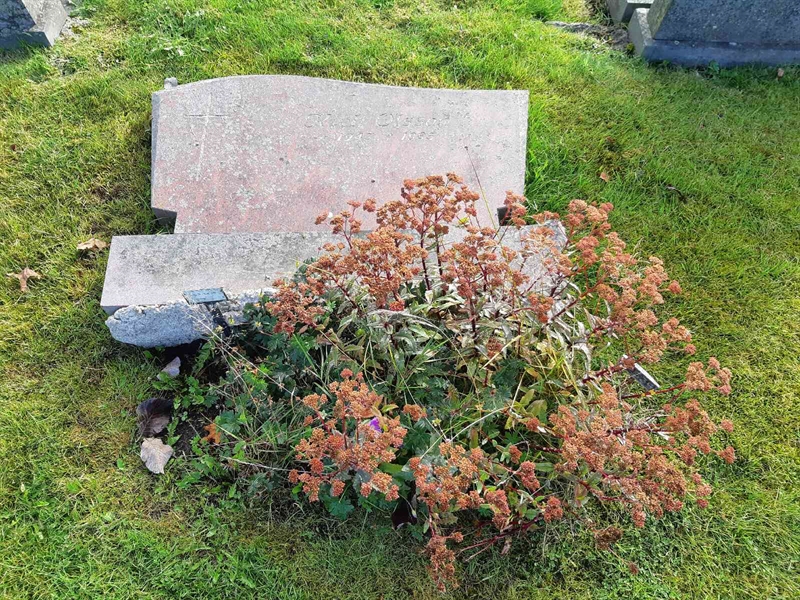 Hautatunnus: Fr 8   534-535