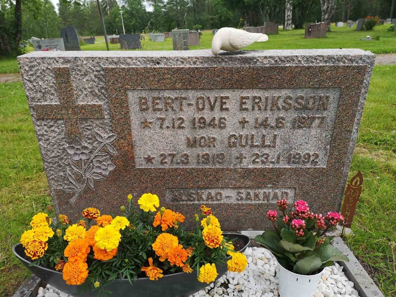 Hautatunnus: NK 09    15