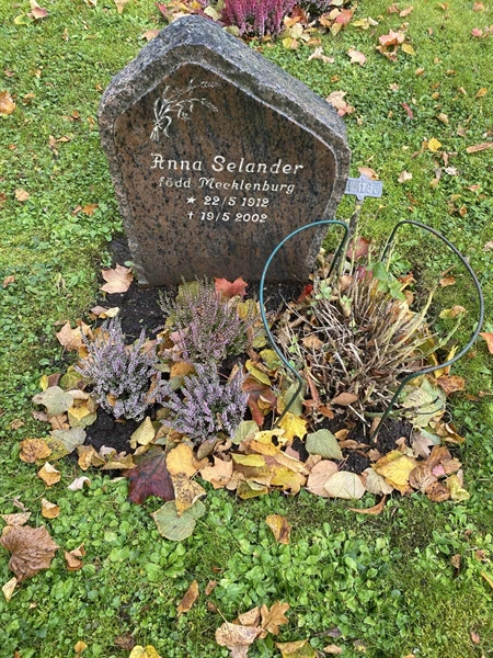 Hautatunnus: 1 H   186