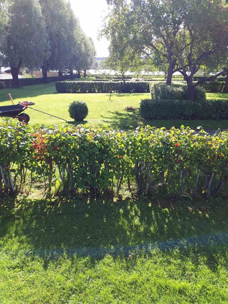 Hautatunnus: NK F B    88