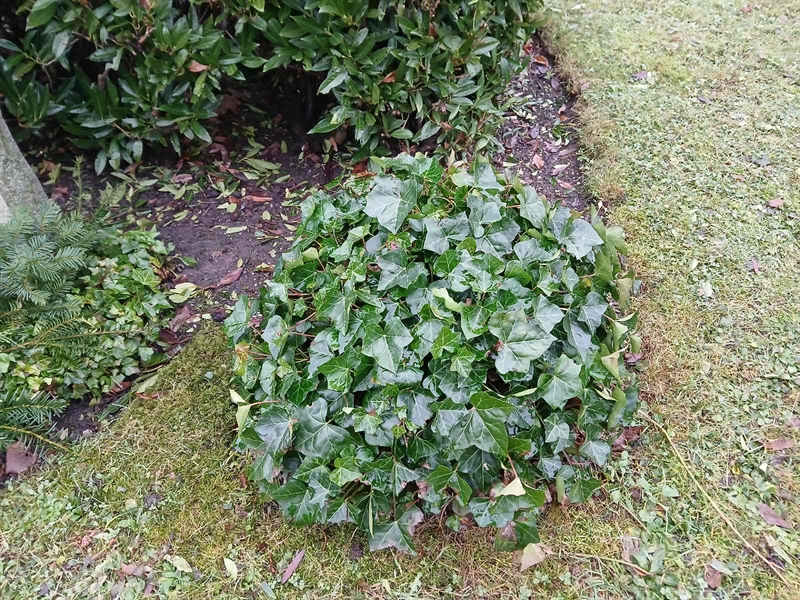 Grave number: FE K    39